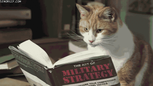 Book Gif